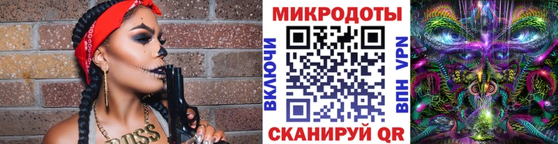 Галлюциногенные грибы Psilocybe  Терек 
